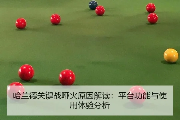 ha-lan-de-guan-jian-zhan-ya-huo-yuan-yin-jie-du-ping-tai-gong-neng-yu-shi-yong-ti-yan-fen-xi-2-329.jpg